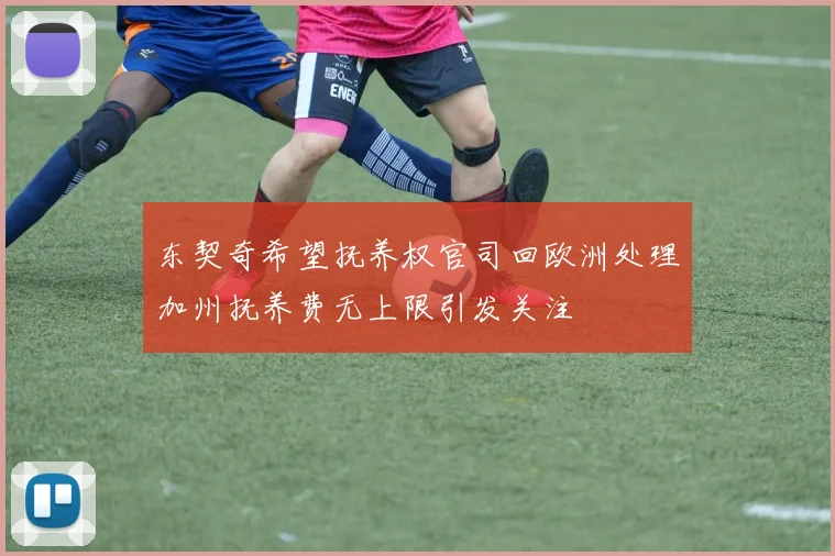 东契奇希望抚养权官司回欧洲处理加州抚养费无上限引发关注